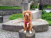 496767710_9912410398805279_3644960024880417408_n