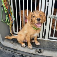 IMG_20230813_154348_373